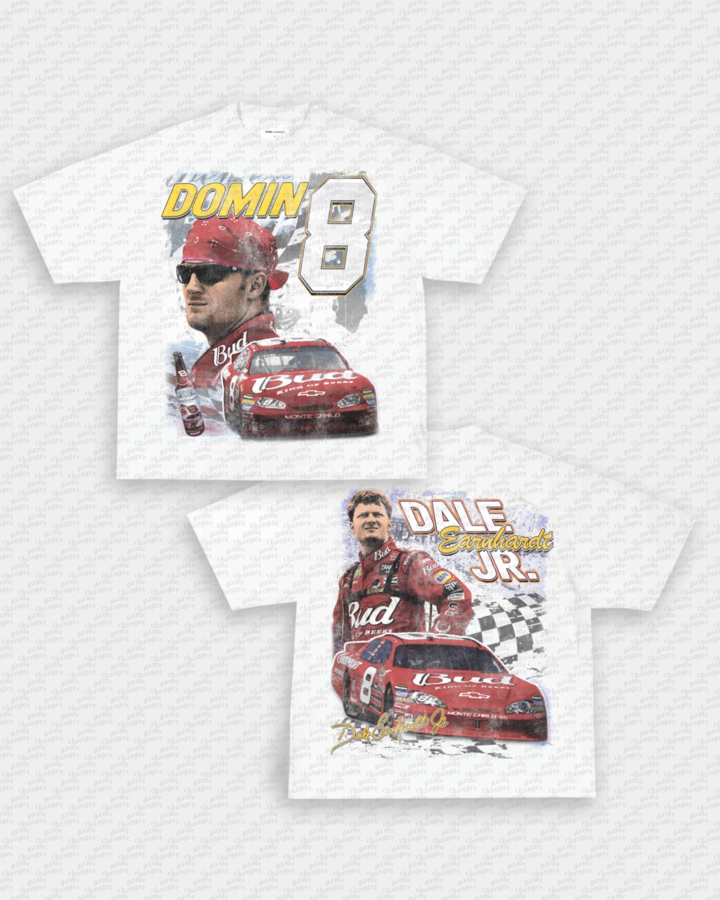 DALE EARNHARDT JR V2 TEE - [DS]